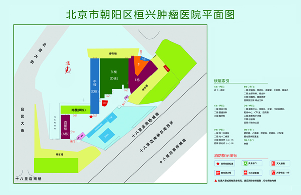 抠逼高潮给你看北京市朝阳区桓兴肿瘤医院平面图